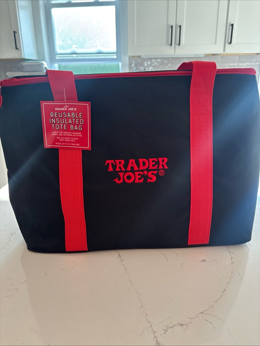 Trader Joe's Red & black Reusable Insulated Tote Bag 5.3 Gallons